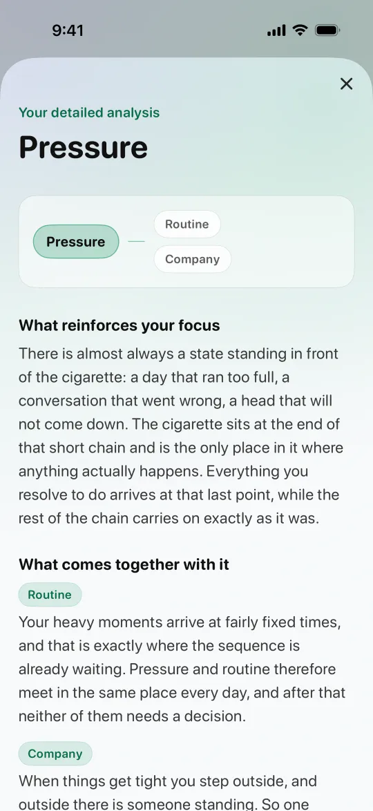 The detailed analysis in Pro, focus Pressure, linked to Routine and Company, with the sections What reinforces your focus and What comes together with it.